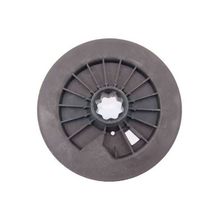 Poulie de lanceur pour moteur Briggs & Stratton (295871)