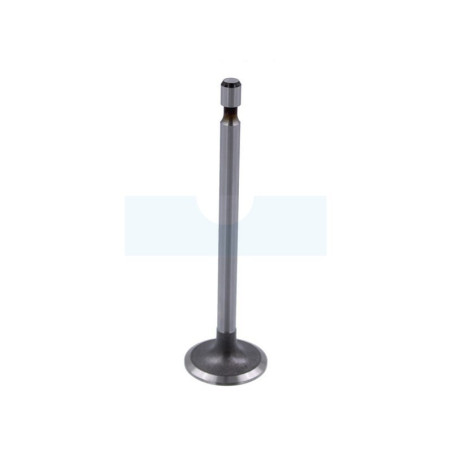 Soupape d'admission pour moteur Briggs & Stratton (261462)