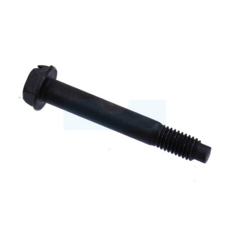 Vis de capot de filtre à air pour moteur Briggs & Stratton (793460)