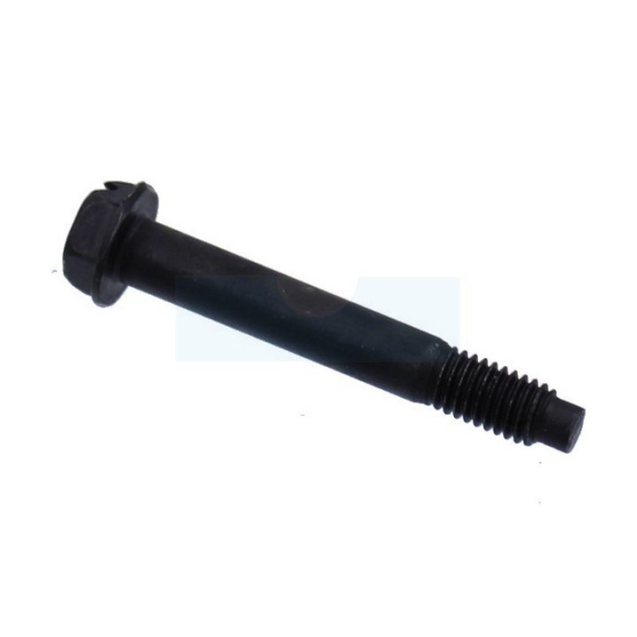 Vis de capot de filtre à air pour moteur Briggs & Stratton (793460)