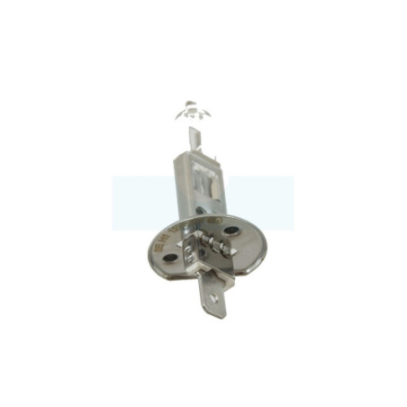 Ampoule 12v 55w H1