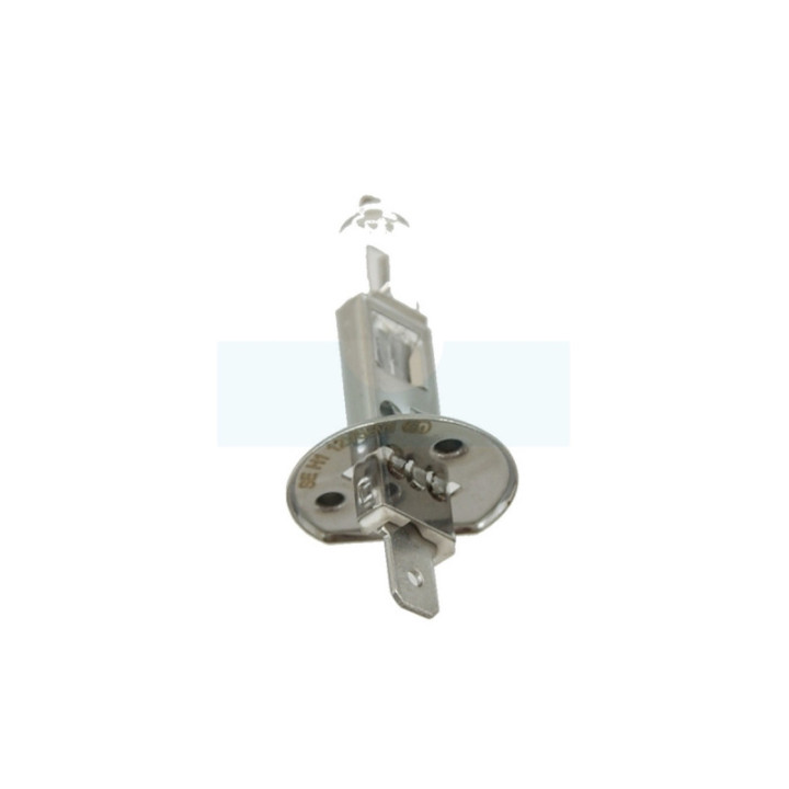 Ampoule 12v 55w H1