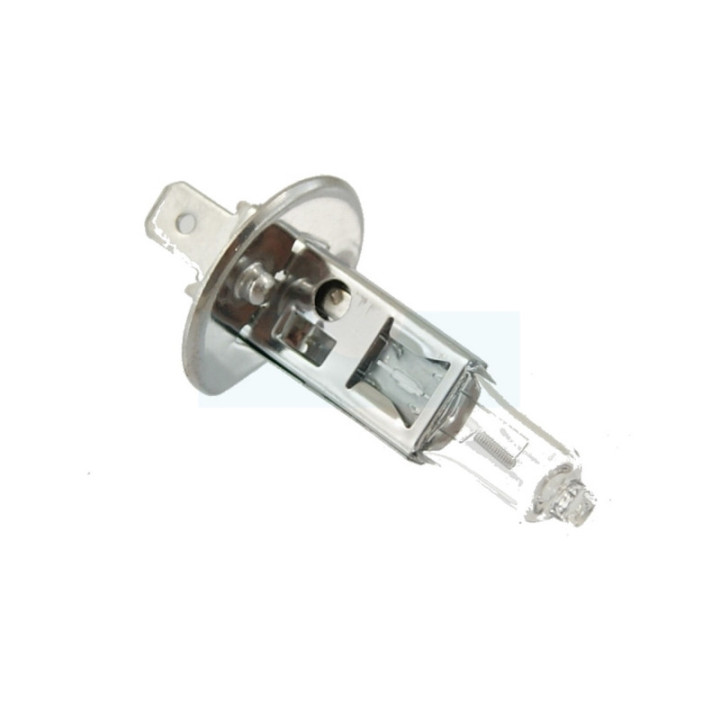 Ampoule 12v 55w H1