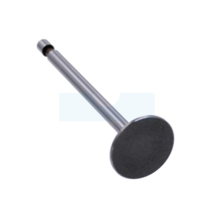 Soupape d'admission pour moteur Briggs & Stratton (261462)