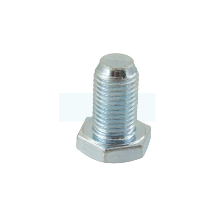 Boulon de vilebrequin pour moteur Briggs & Stratton (1134631101)