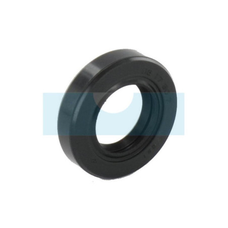 Joint spi pour Hitachi (6695648)