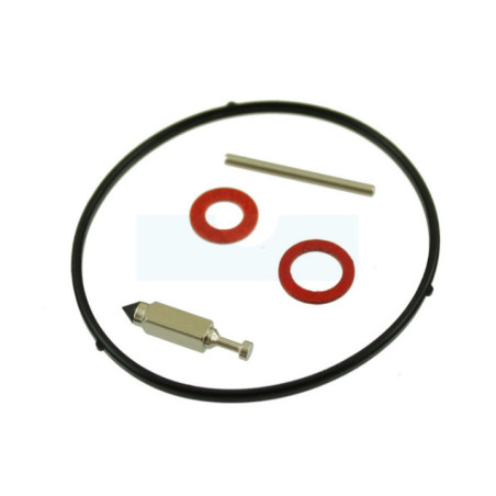 Kit réparation pour carburateur GGP (118550442/0)