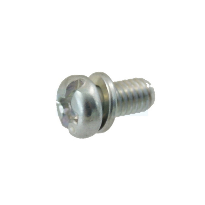 Vis de volet de gaz pour moteur Briggs & Stratton (690718)