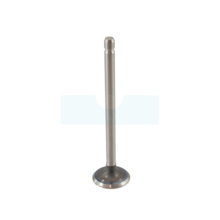Soupape d'échappement pour moteur Briggs & Stratton (691796)