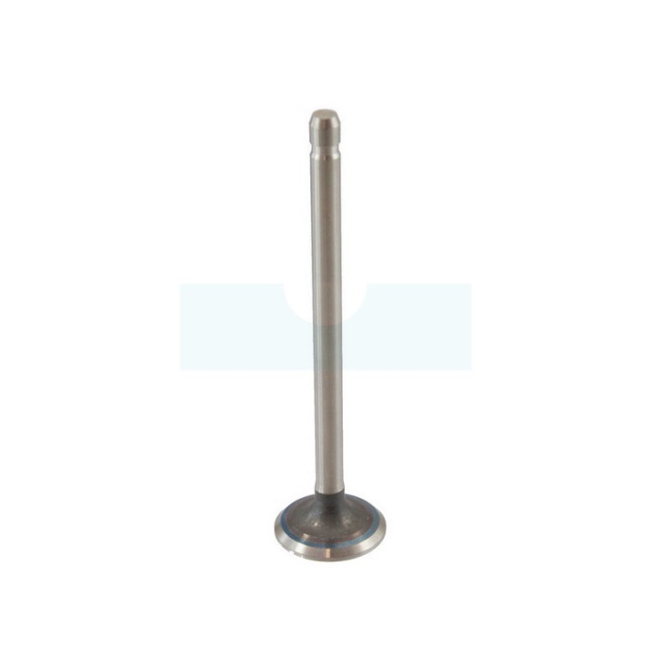 Soupape d'échappement pour moteur Briggs & Stratton (691796)