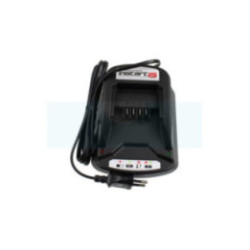 Chargeur de batterie pour moteur Briggs & Stratton (593562)