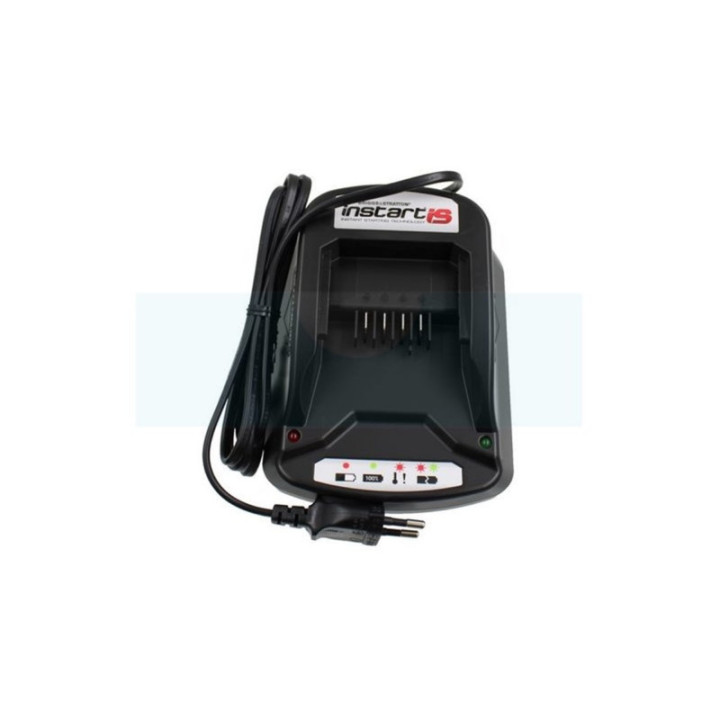 Chargeur de batterie pour moteur Briggs & Stratton (593562)