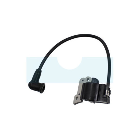 Bobine d'allumage pour Hitachi (6698397)