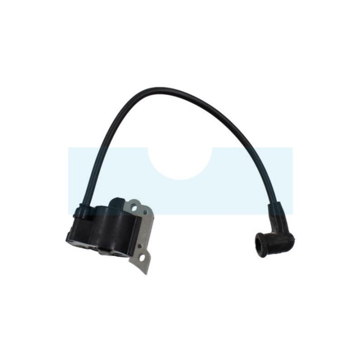 Bobine d'allumage pour Hitachi (6698397)
