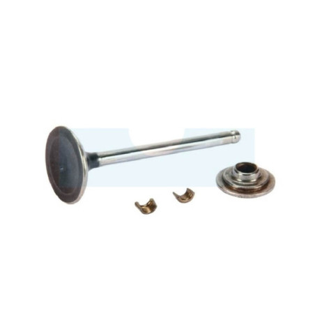 Soupape d'échappement pour moteur Briggs & Stratton (792868)