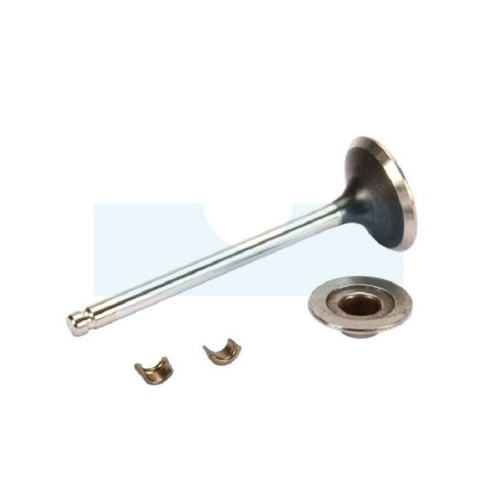 Soupape d'échappement pour moteur Briggs & Stratton (792868)