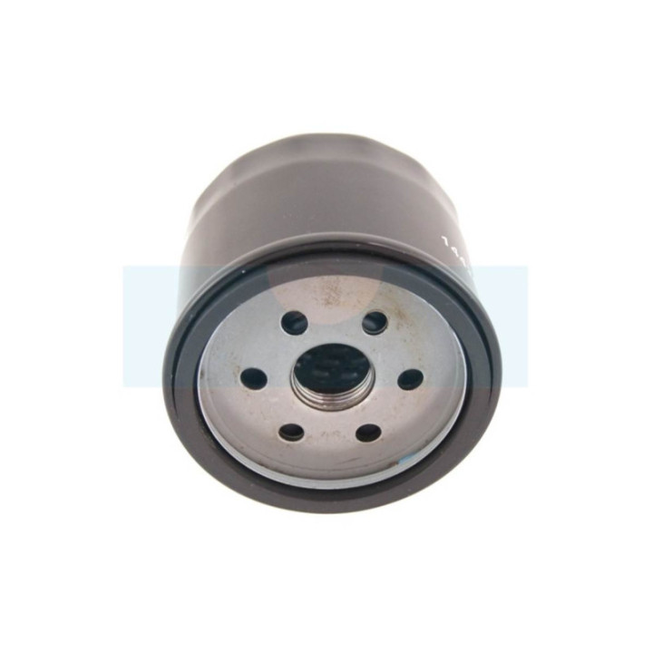 Filtre à huile pour moteur Briggs & Stratton (492056)