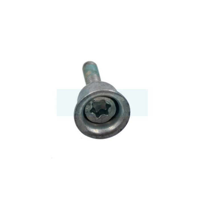 Vis + douille pour tronçonneuse Stihl (0000-790-6100)