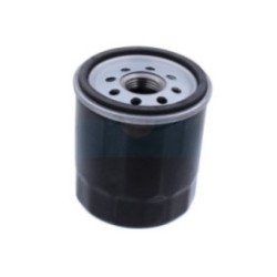 Filtre à huile pour moteur Kawasaki (490652057)