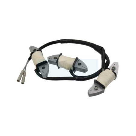 Bobine de charge pour moteur / tracteur tondeuse Honda (31630ZJ1802)