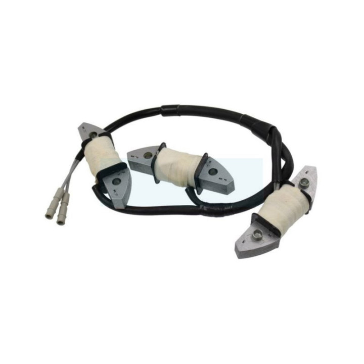 Bobine de charge pour moteur / tracteur tondeuse Honda (31630ZJ1802)