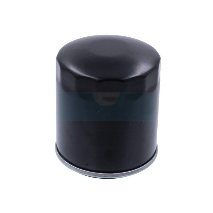 Filtre à huile pour moteur Onan (1220645)