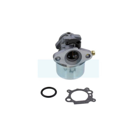 Carburateur pour moteur Briggs & Stratton (498170)