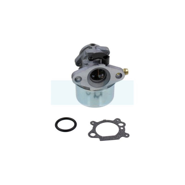Carburateur pour moteur Briggs & Stratton (498170)