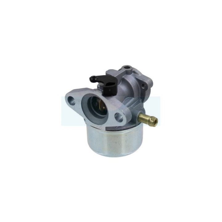 Carburateur pour moteur Briggs & Stratton (498170)