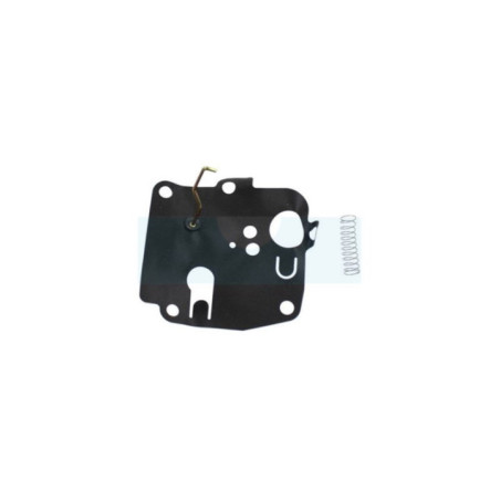 Membrane + ressort pour moteur Briggs & Stratton (391681)