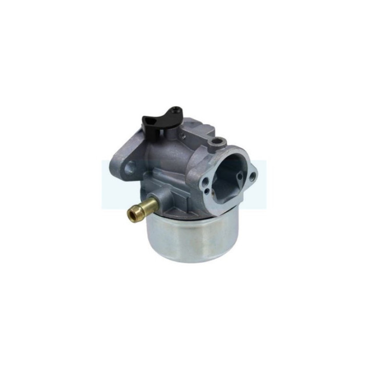 Carburateur pour moteur Briggs & Stratton (498170)