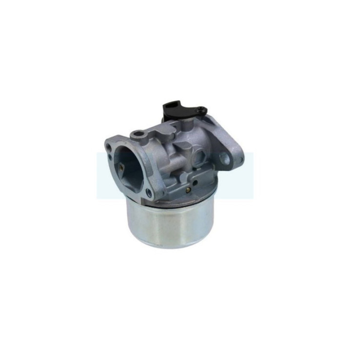 Carburateur pour moteur Briggs & Stratton (498170)