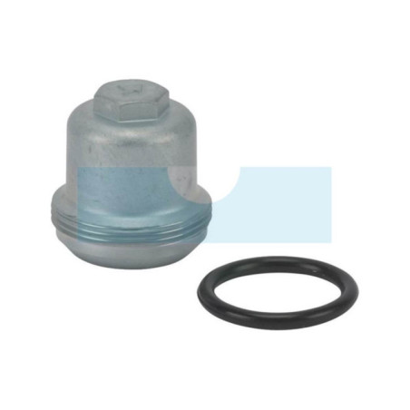 Bouchon de filtre à carburant pour moteur / groupe électrogène / motoculteur / pompe à eau Honda (16081471831)