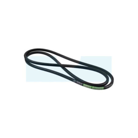 Courroie pour tracteur tondeuse Viking (61607042100)