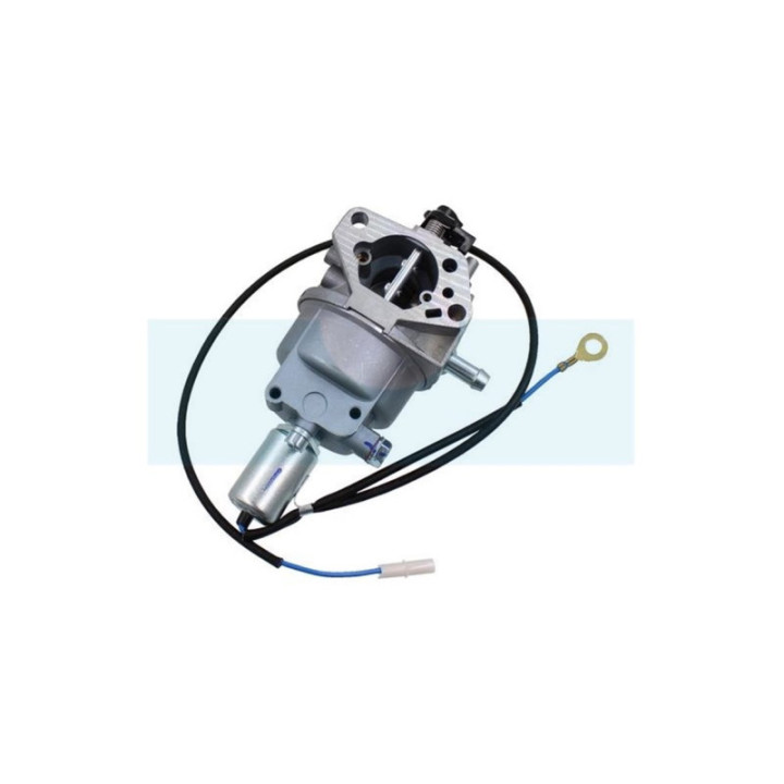 Carburateur pour moteur Stihl / Viking (0004-120-0605)