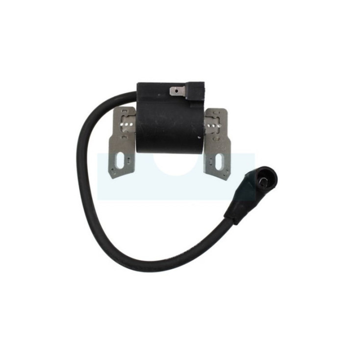Bobine d'allumage électronique pour moteur Briggs & Stratton (492416)