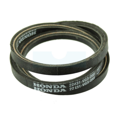 Courroie pour tondeuse Honda (22431VG3D50)