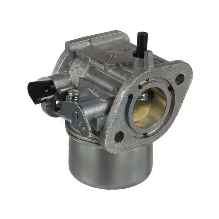 Carburateur pour moteur Kawasaki (150037054)