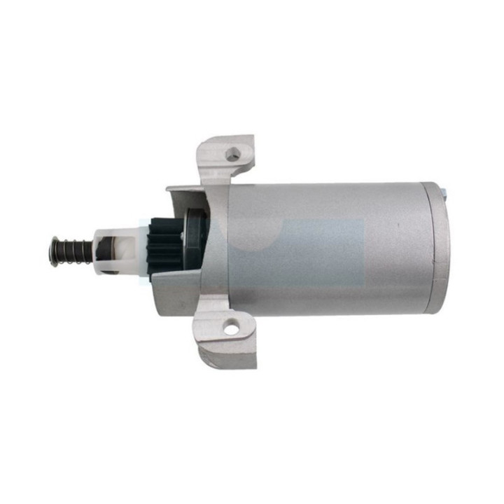 Démarreur pour moteur Briggs & Stratton (495104)