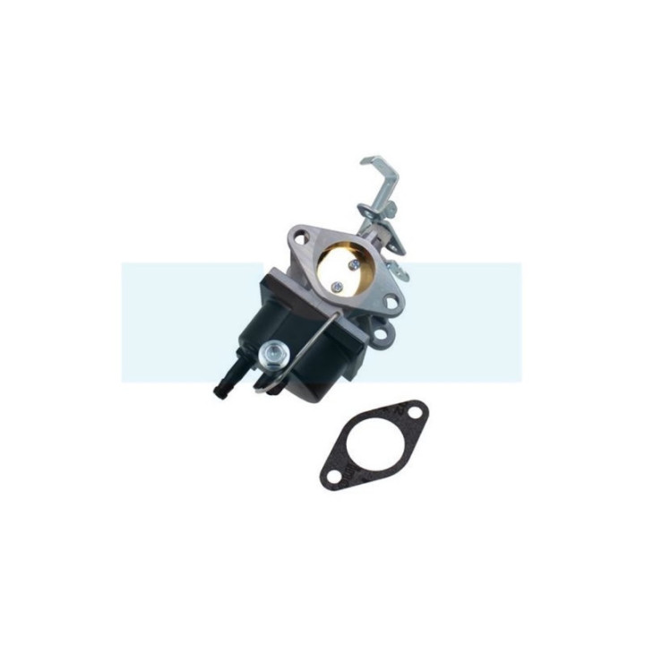 Carburateur pour moteur Tecumseh (640221)