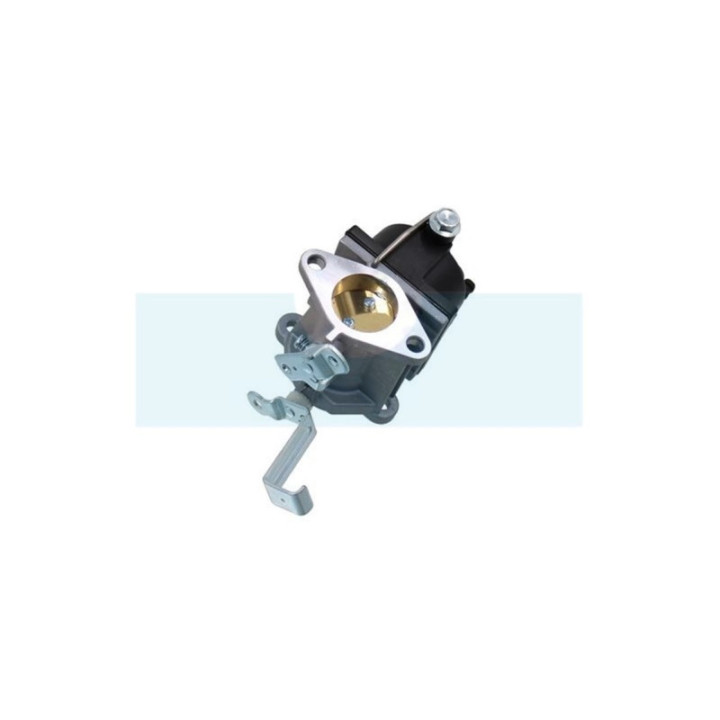 Carburateur pour moteur Tecumseh (640221)