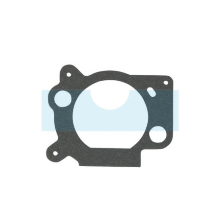 Joint de filtre à air pour moteur Briggs & Stratton (691894)