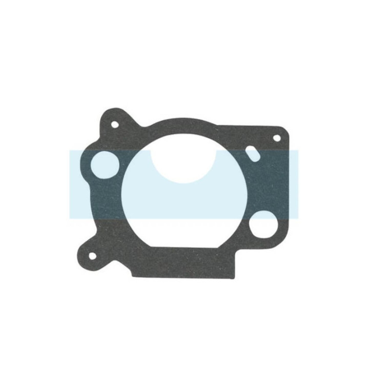 Joint de filtre à air pour moteur Briggs & Stratton (691894)