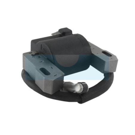 Bobine d'allumage pour moteur Briggs & Stratton (843327)
