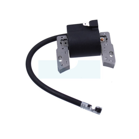 Bobine d'allumage pour moteur Briggs & Stratton (496514)