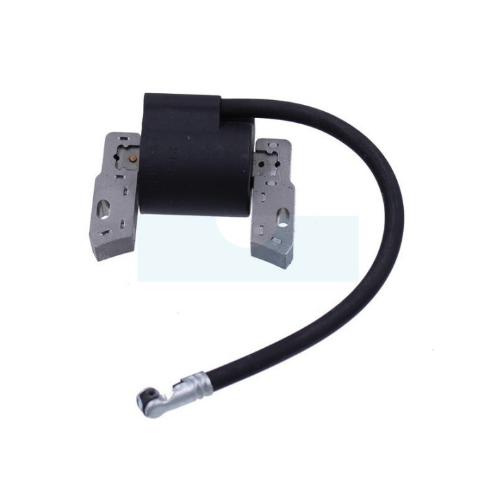 Bobine d'allumage pour moteur Briggs & Stratton (496514)