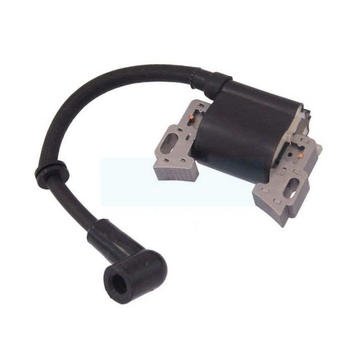 Bobine d'allumage pour moteur GGP (1185501260)