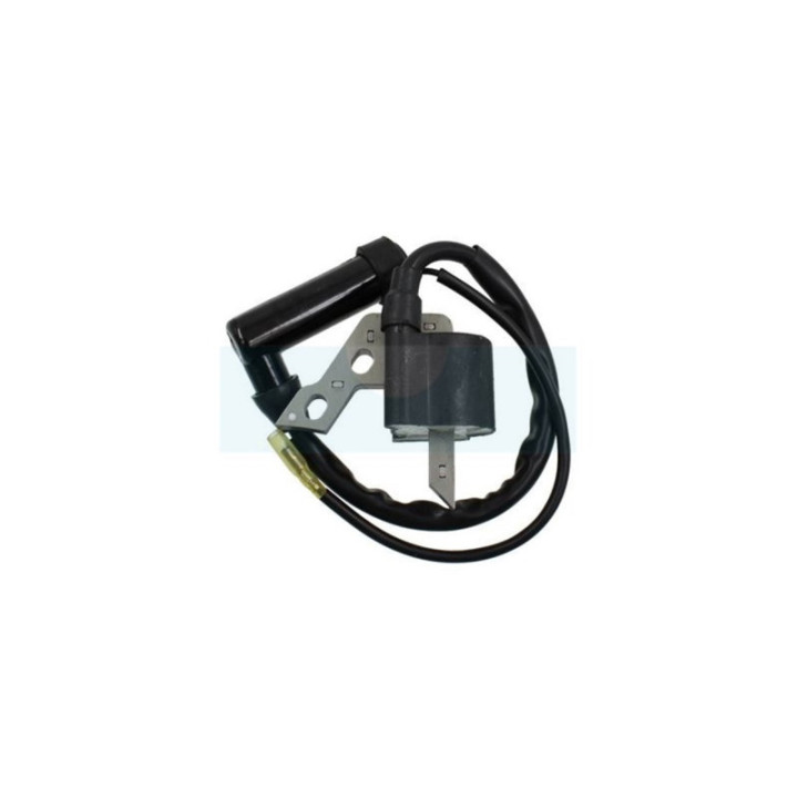 Bobine d'allumage pour moteur Mitsubishi (LE24019AA)