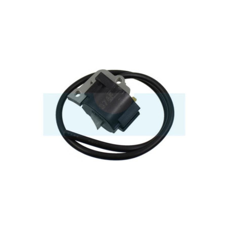 Bobine d'allumage pour moteur Robin / Subaru (597001010)