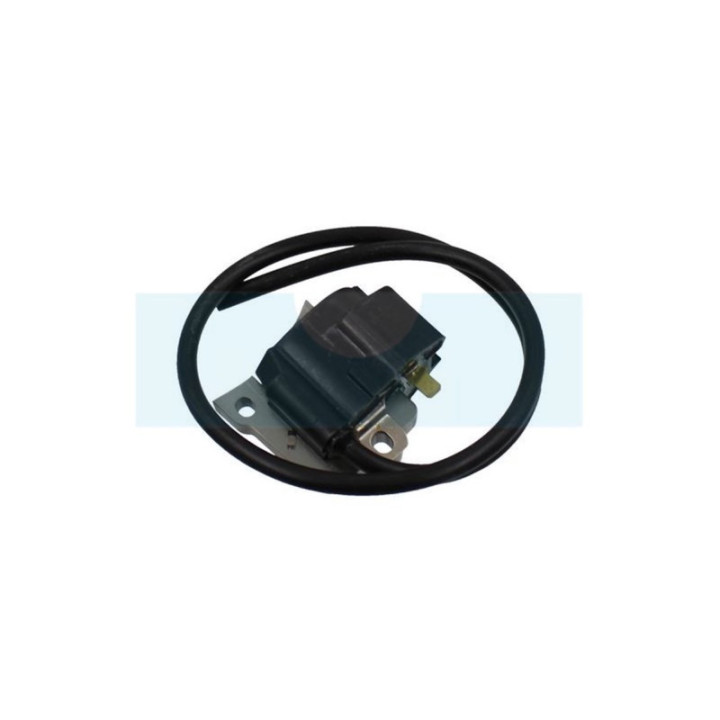 Bobine d'allumage pour moteur Robin / Subaru (597001010)